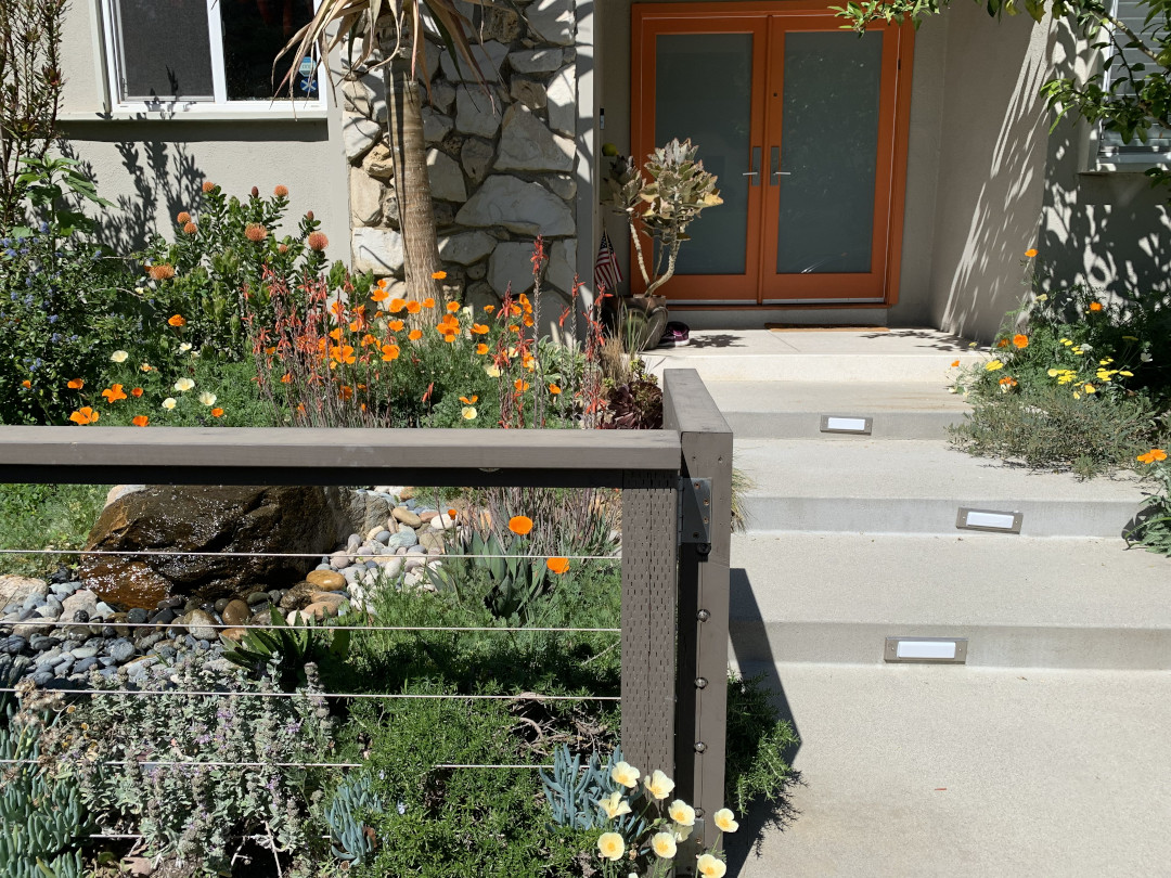 A Drought Tolerant California Garden Finegardening