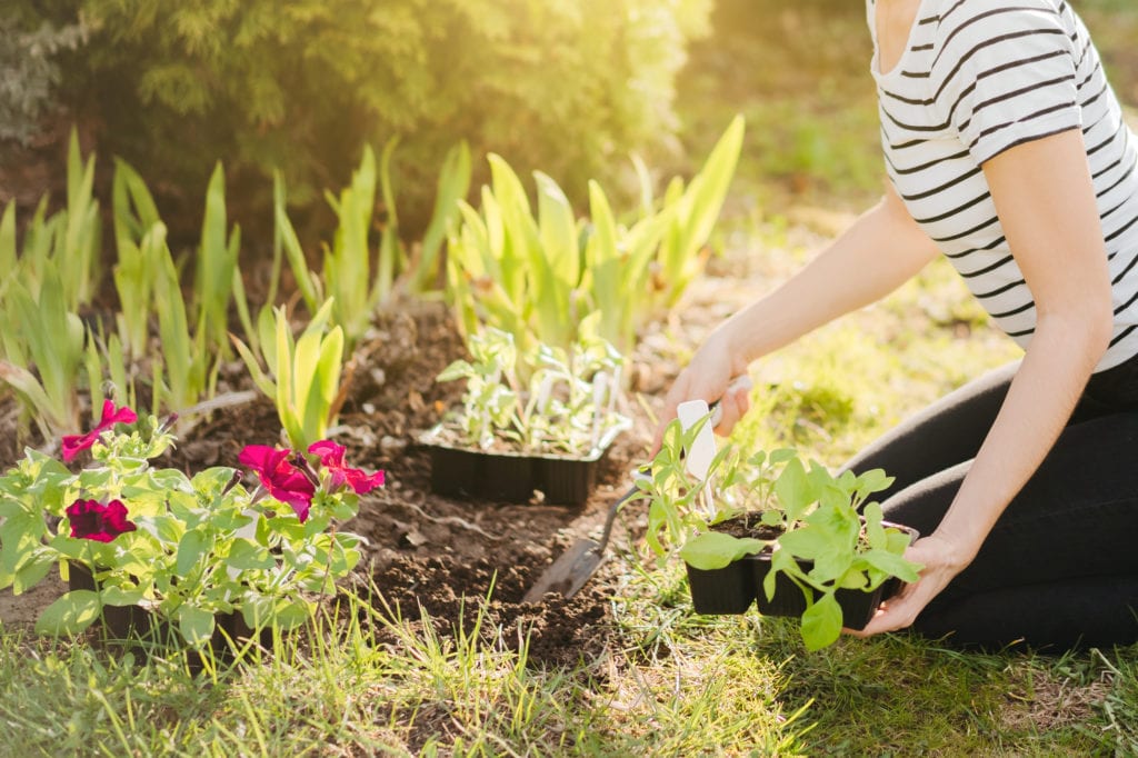 25 Cheap Landscaping Ideas That Fit Your Budget Mymove