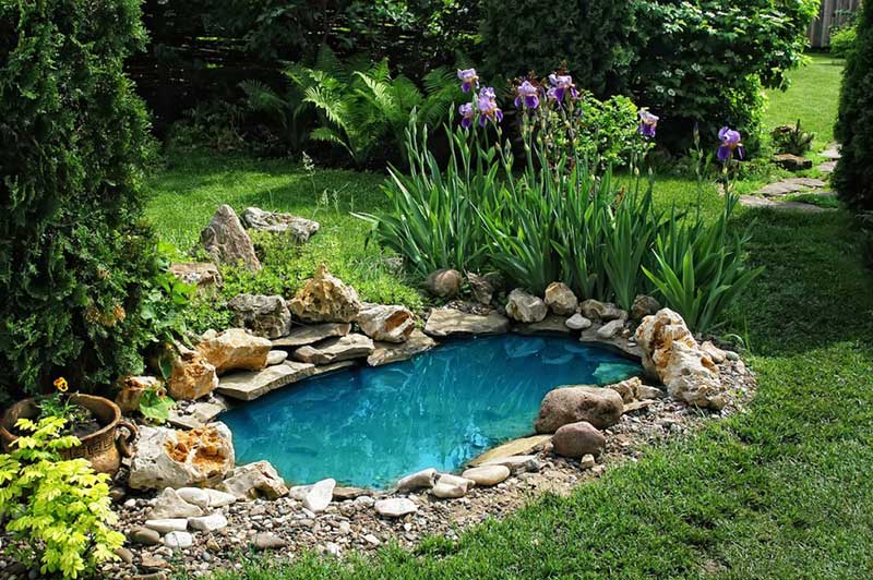 15 Breathtaking Backyard Pond Ideas Garden Lovers Club