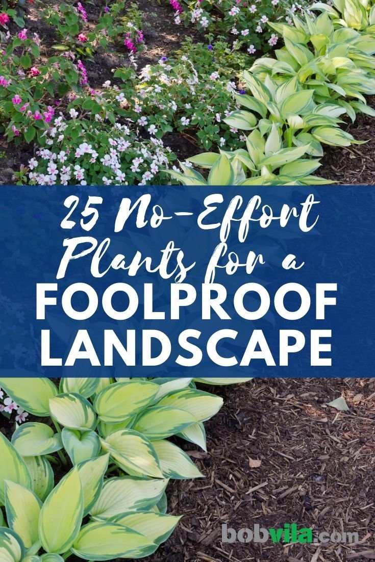 Low Maintenance Landscaping 25 No Effort Landscape Ideas Bob Vila