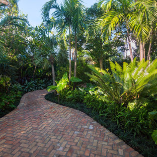 75 Beautiful Tropical Front Yard Landscaping Pictures Ideas January 2021 Houzz