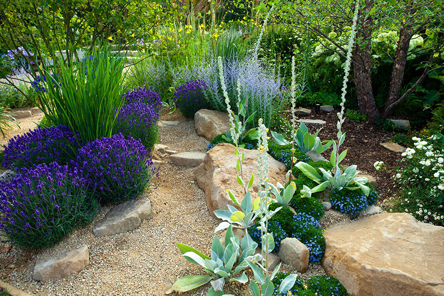 Xeriscaping Drought Proof Landscape Design Fivestar Landscape Sacramento Area Landscape Design And Landscaping